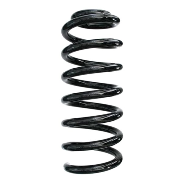 SPIDAN 87697 Fahrwerksfeder hinten