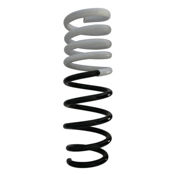 SPIDAN 87749 Fahrwerksfeder hinten