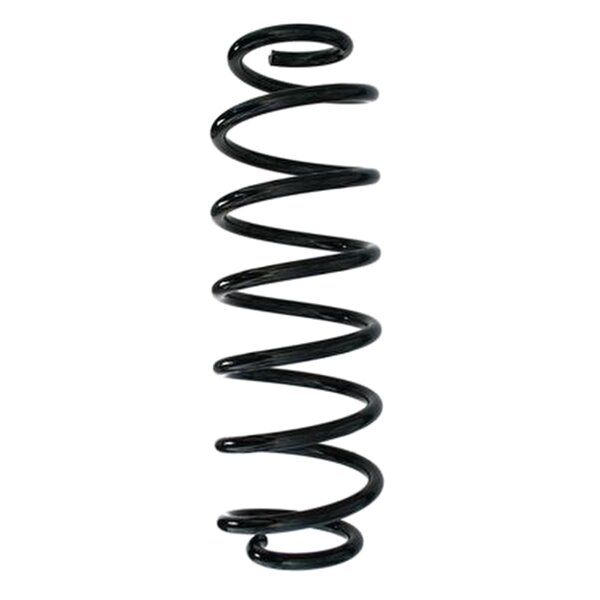 SPIDAN 87779 Fahrwerksfeder hinten