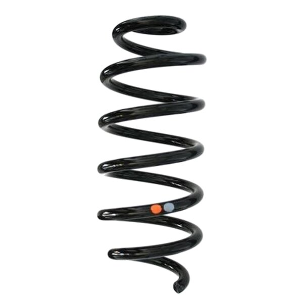 SPIDAN 87881 Fahrwerksfeder hinten