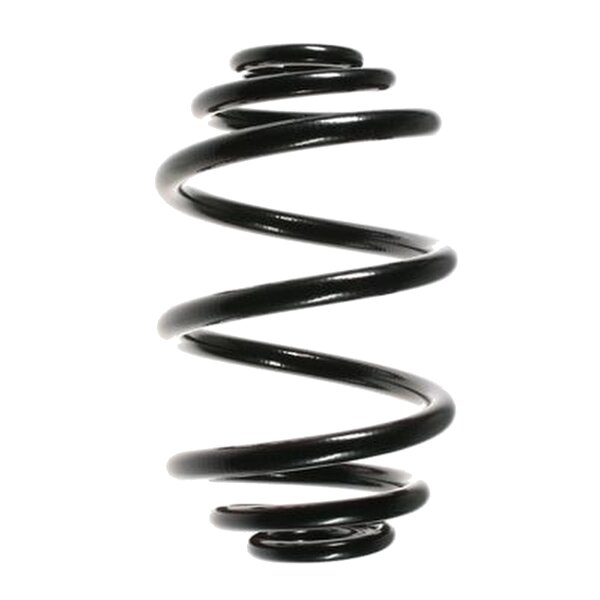 Suspension Spring Rear Axle Mini Block SPIDAN for BMW Z3...