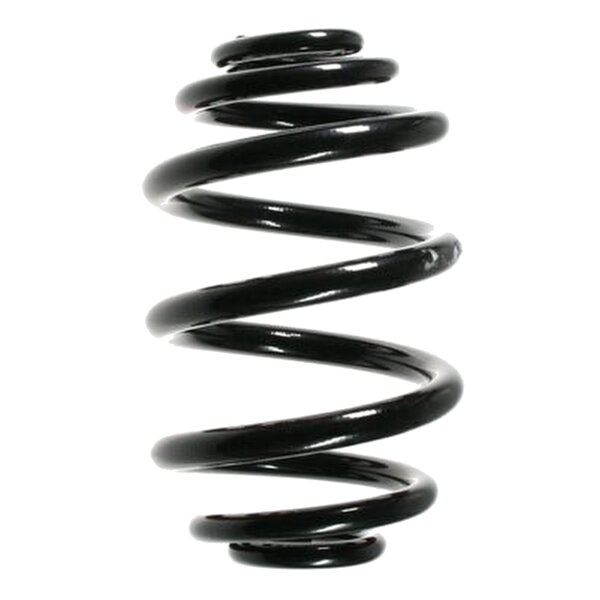 Suspension Spring Rear Axle Mini Block SPIDAN for BMW 3er...