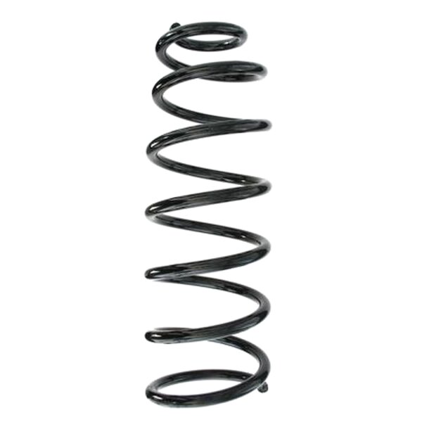 SPIDAN 55143 Fahrwerksfeder hinten