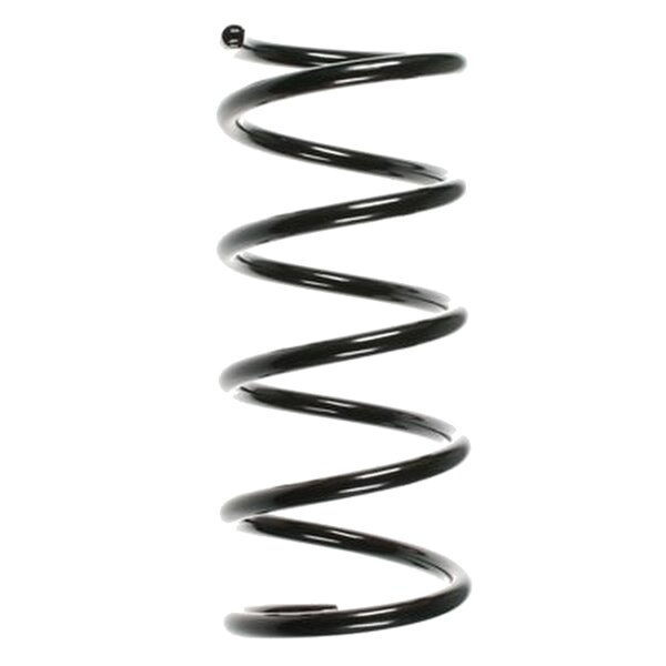 SPIDAN 55218 Fahrwerksfeder hinten