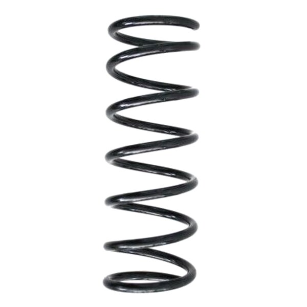 SPIDAN 55232 Fahrwerksfeder hinten