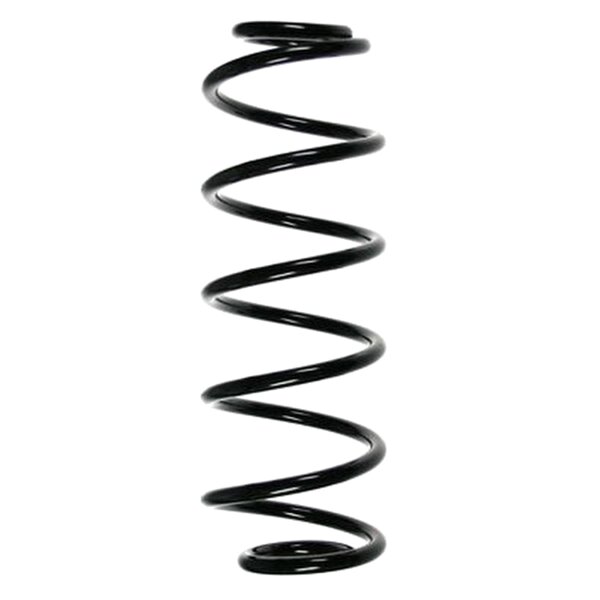 SPIDAN 55234 Fahrwerksfeder hinten