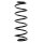 SPIDAN 55234 Fahrwerksfeder hinten