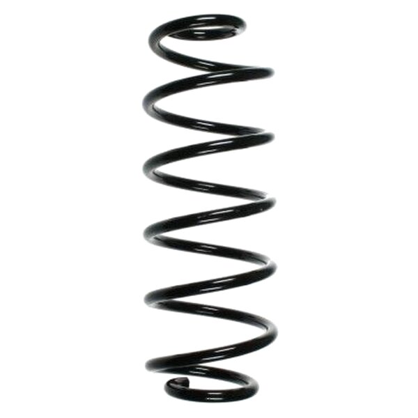 SPIDAN 55235 Fahrwerksfeder hinten