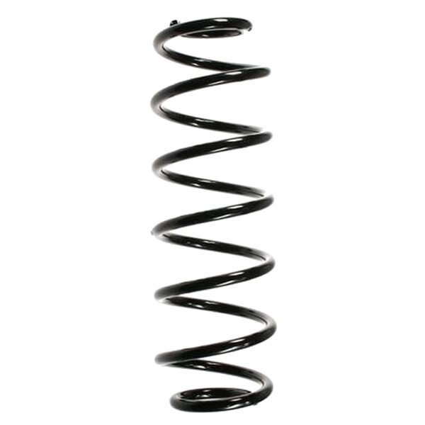 SPIDAN 55236 Fahrwerksfeder hinten