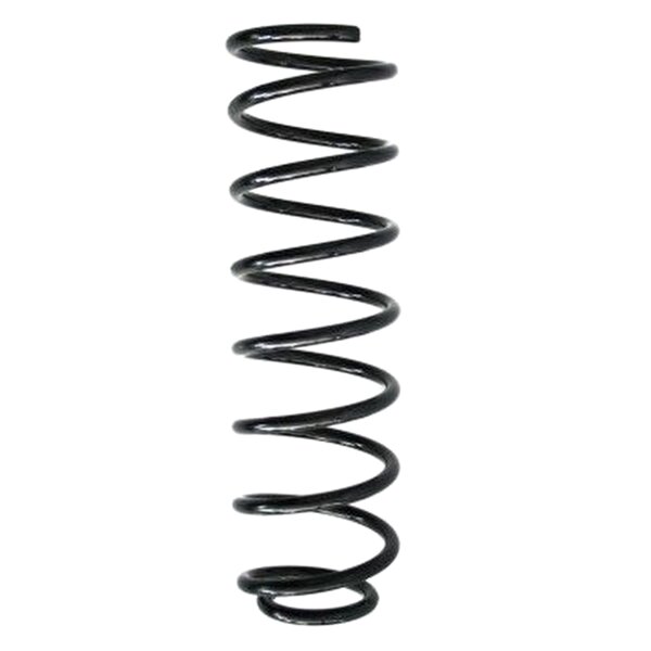 SPIDAN 55291 Fahrwerksfeder hinten