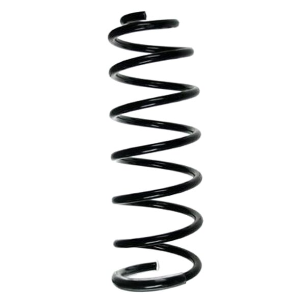 SPIDAN 55244 Fahrwerksfeder hinten
