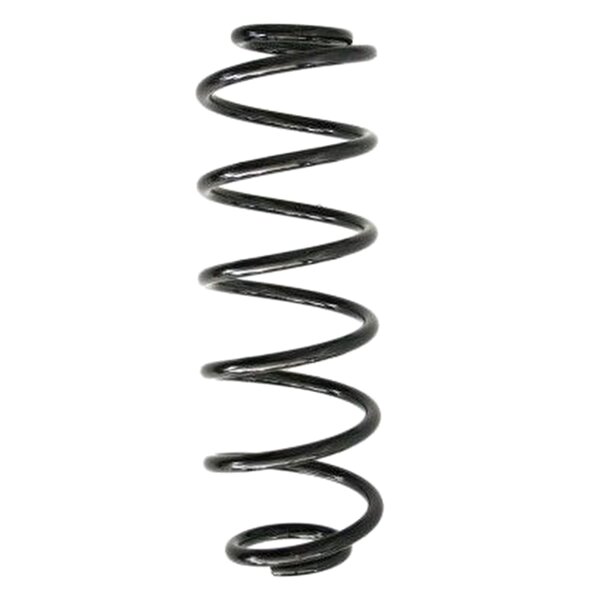 SPIDAN 55289 Fahrwerksfeder hinten