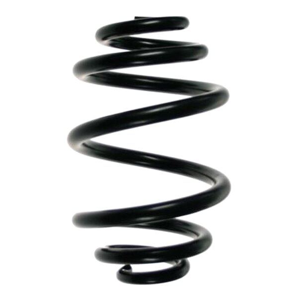 Suspension Spring Rear Axle Mini Block SPIDAN for e.g. VW...