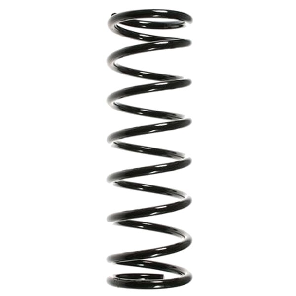 SPIDAN 55329 Fahrwerksfeder hinten