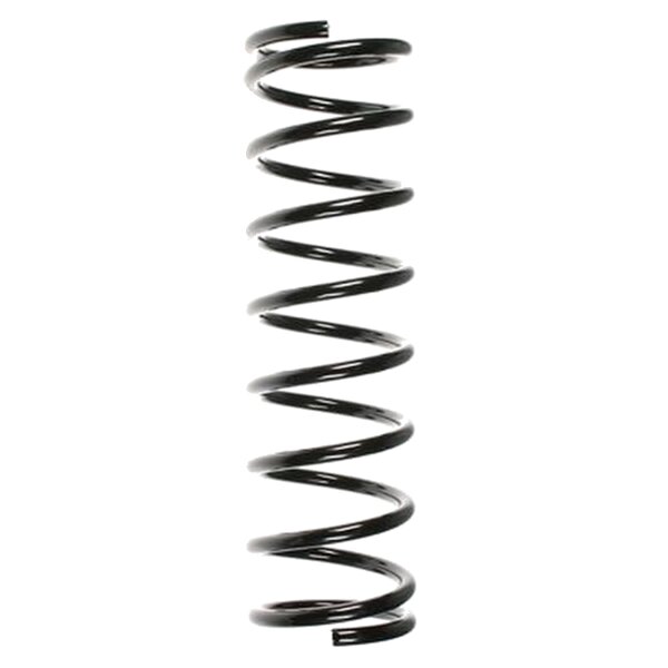 SPIDAN 55331 Fahrwerksfeder hinten