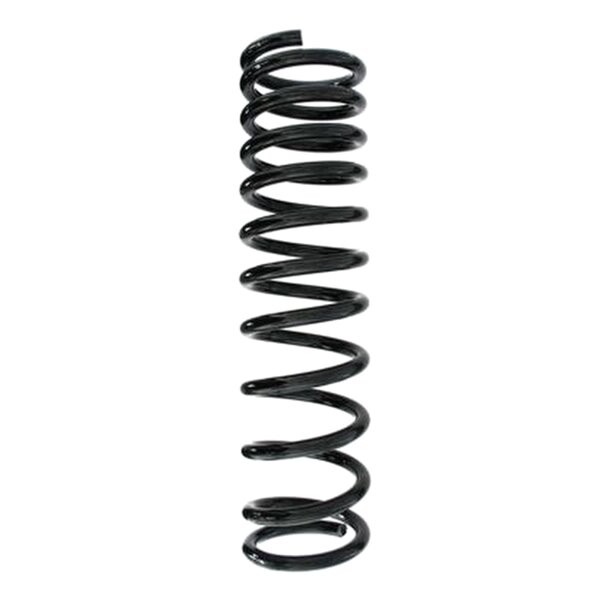 SPIDAN 55332 Fahrwerksfeder hinten