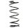 Suspension Spring Front Axle Coil spring with constant wire diameter SPIDAN for e.g. FORD Focus