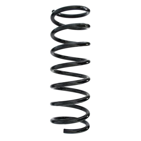 SPIDAN 55343 Fahrwerksfeder hinten