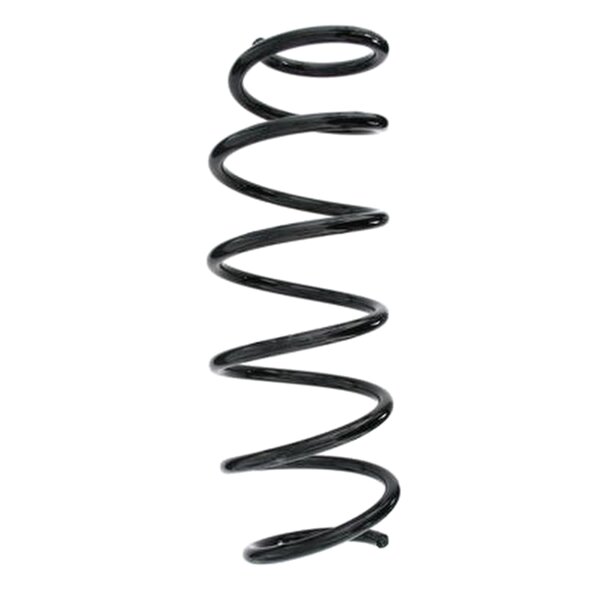 SPIDAN 55346 Fahrwerksfeder hinten
