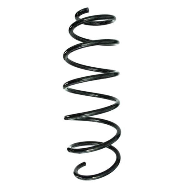 SPIDAN 55347 Fahrwerksfeder hinten