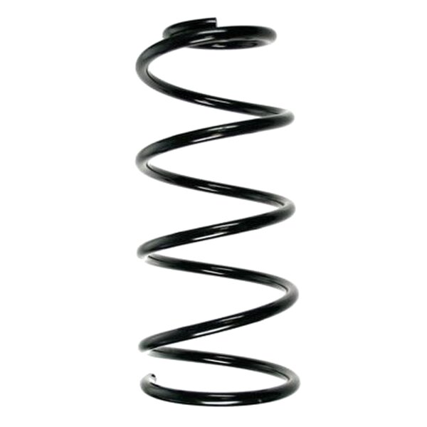 SPIDAN 55353 Fahrwerksfeder vorne