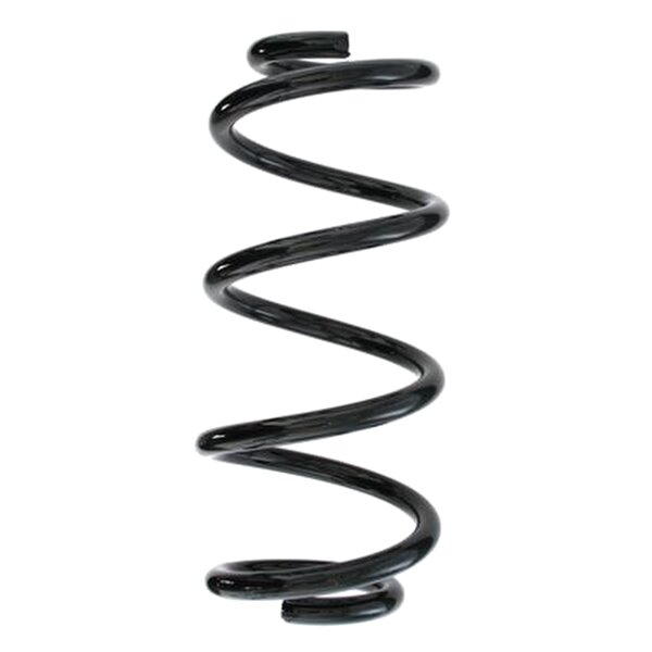 SPIDAN 55398 Fahrwerksfeder hinten