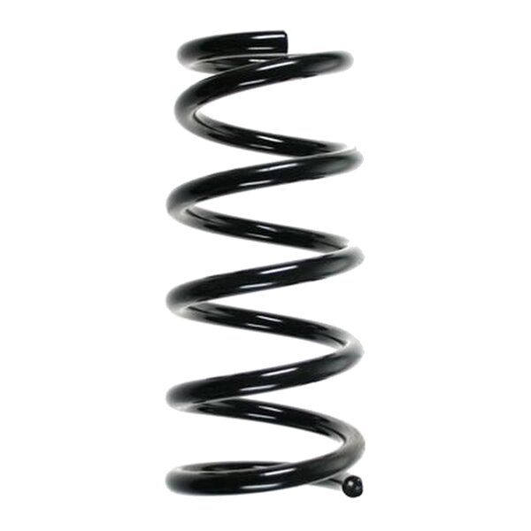 SPIDAN 55472 Fahrwerksfeder hinten