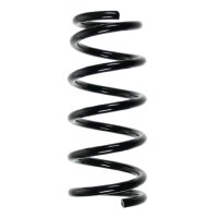 SPIDAN 55478 Fahrwerksfeder hinten