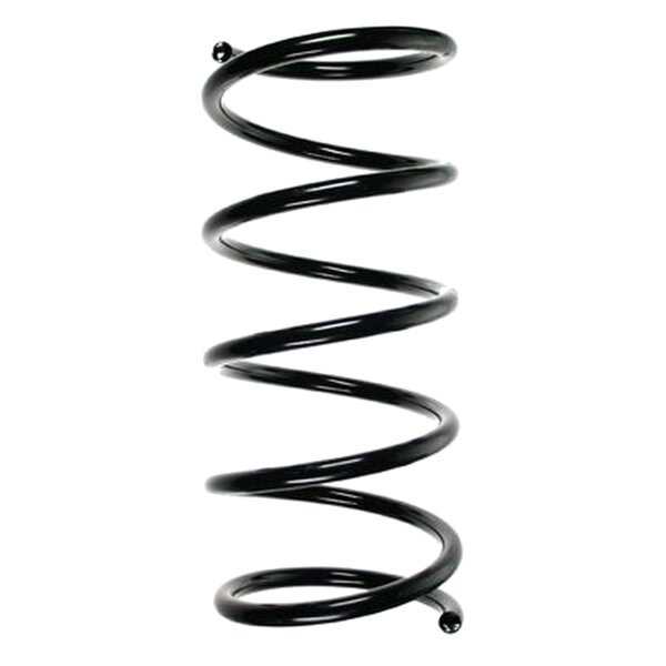 SPIDAN 55492 Fahrwerksfeder hinten
