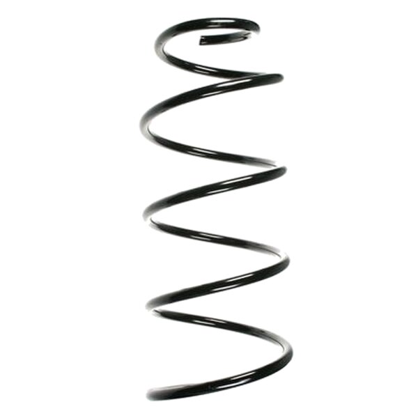 SPIDAN 55612 Fahrwerksfeder vorne