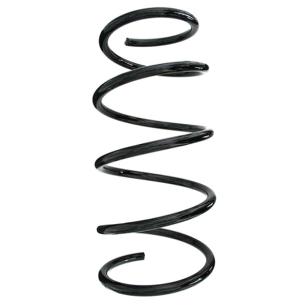 SPIDAN 55613 Fahrwerksfeder vorne