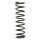 SPIDAN 55699 Fahrwerksfeder hinten