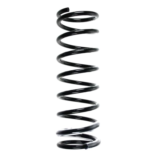 SPIDAN 55700 Fahrwerksfeder hinten