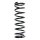 SPIDAN 55700 Fahrwerksfeder hinten