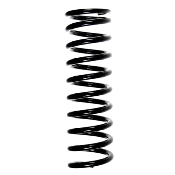 SPIDAN 55721 Fahrwerksfeder hinten