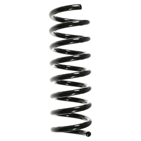 SPIDAN 55726 Fahrwerksfeder vorne