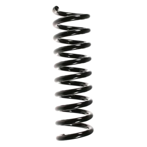 SPIDAN 55732 Fahrwerksfeder hinten