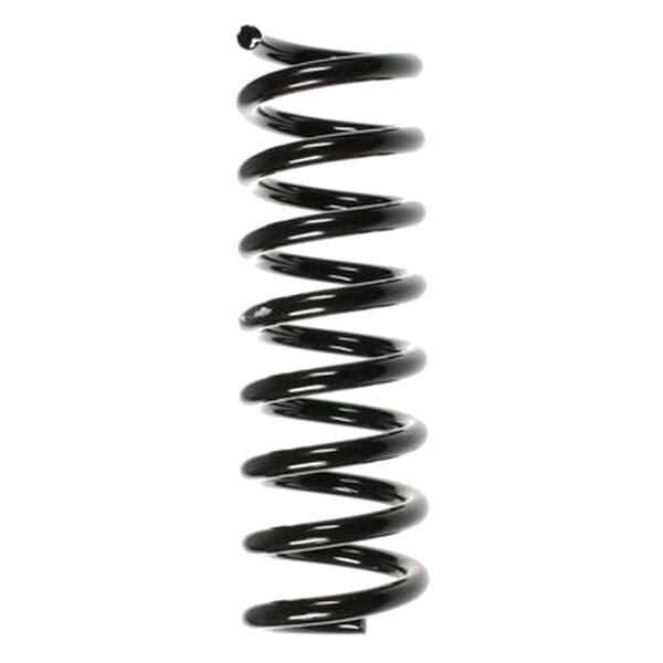 SPIDAN 55744 Fahrwerksfeder hinten