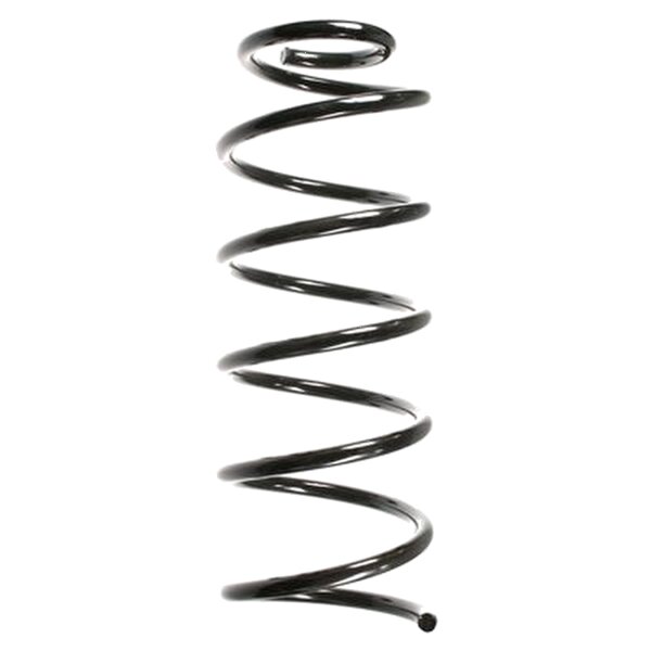 SPIDAN 55757 Fahrwerksfeder vorne