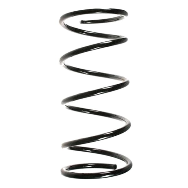 SPIDAN 55761 Fahrwerksfeder vorne