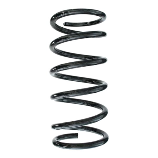 SPIDAN 55775 Fahrwerksfeder hinten