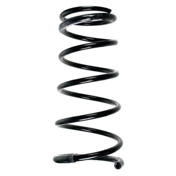 SPIDAN 55874 Fahrwerksfeder vorne