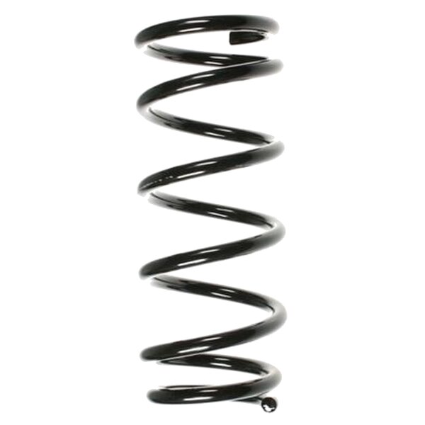 SPIDAN 55875 Fahrwerksfeder hinten