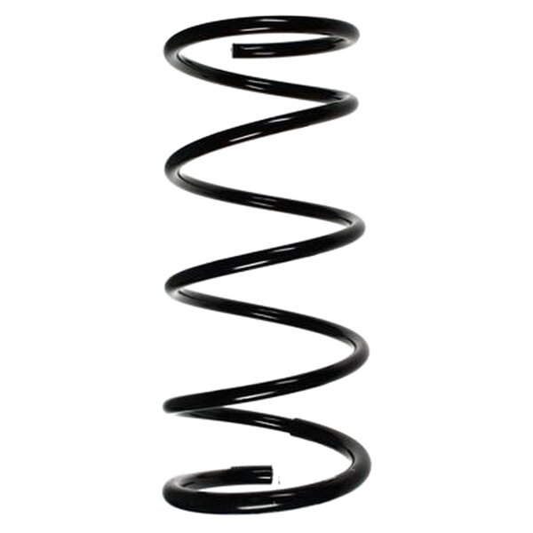 SPIDAN 55878 Fahrwerksfeder vorne