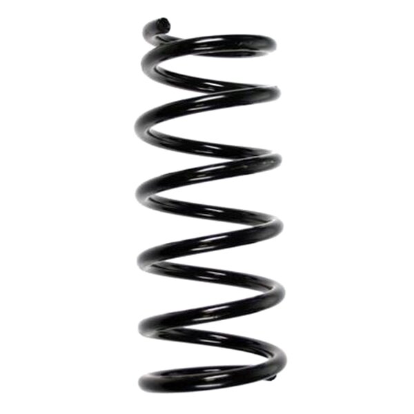 SPIDAN 55896 Fahrwerksfeder hinten