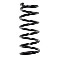 SPIDAN 55896 Fahrwerksfeder hinten