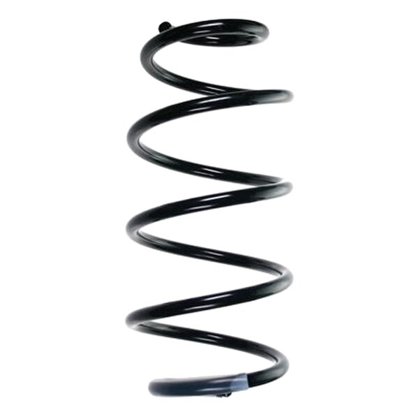 SPIDAN 55971 Fahrwerksfeder vorne