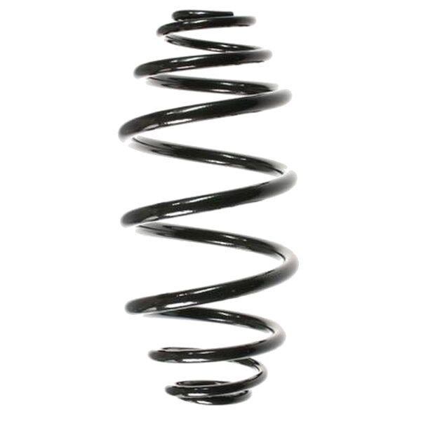 SPIDAN 55978 Fahrwerksfeder hinten
