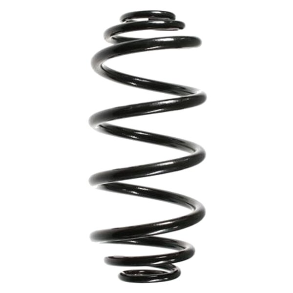 SPIDAN 55992 Fahrwerksfeder hinten