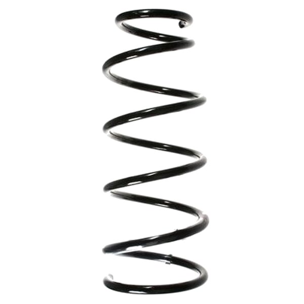 SPIDAN 55913 Fahrwerksfeder vorne